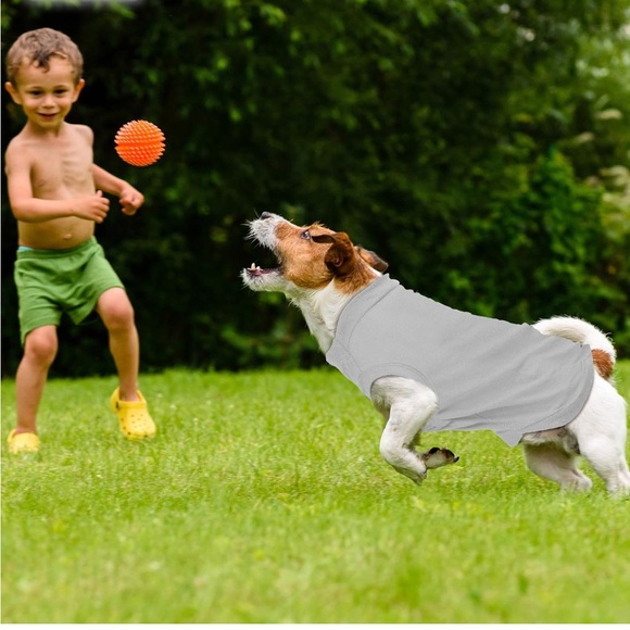 WEEWOODAY PET SHIRT - Picture 6 of 12